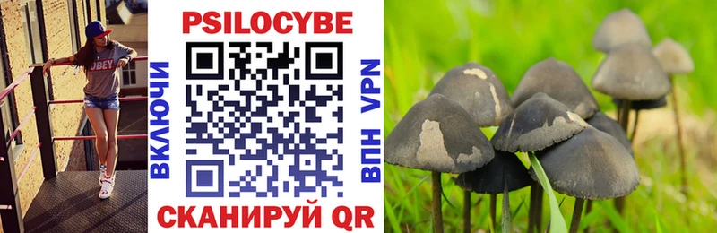 Псилоцибиновые грибы прущие грибы  где можно купить   Томмот 